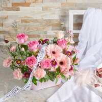 Read Yorkvilles Reviews